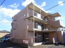 リバーサイド巴の間取り画像