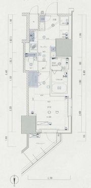 ライジングプレイス亀戸の間取り画像