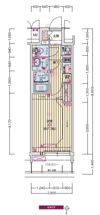 プレサンス ジェネ 新栄町駅前 葵の間取り画像
