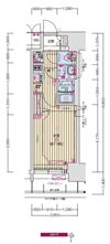 プレサンス ジェネ 新栄町駅前 葵の間取り画像