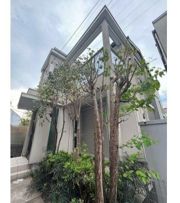 下高井戸4丁目貸家の外観画像