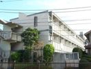 日神パレステージ哲学堂の間取り画像