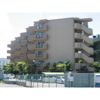 グランディール和泉の間取り画像