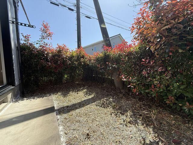 庭