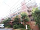 ルネフェリアス堺鳳の間取り画像