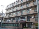 日神パレステージ代田橋の間取り画像