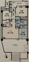 山王プレイスの間取り画像