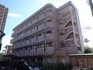 Collection鳳東町の間取り画像