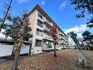 丸子南団地J1号棟の間取り画像