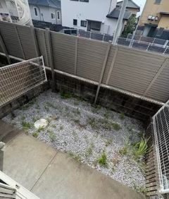 庭
