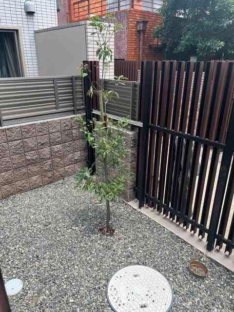 庭