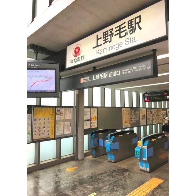 近くに上野毛駅(848m)あり