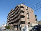 フェリーチェ和泉の間取り画像