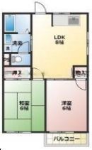 シャトレーUの間取り画像
