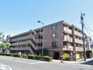日神パレステージ三軒茶屋の外観