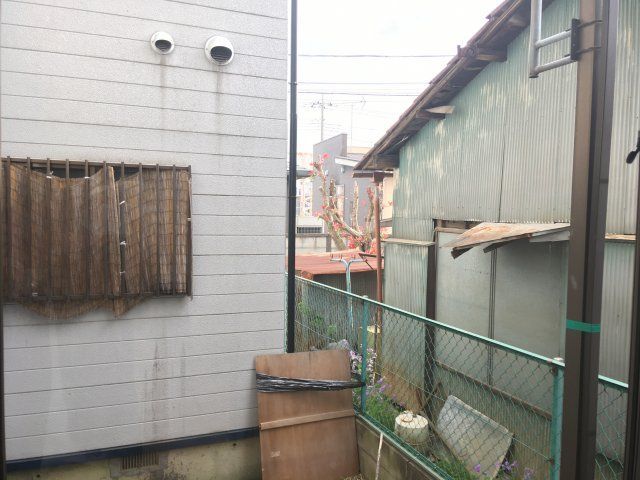 庭