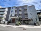グランデール中目黒の間取り画像