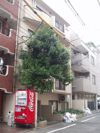 ストーク南麻布の間取り画像