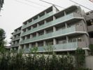 HY’s Vigor 墨田の間取り画像
