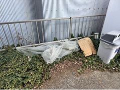 メゾンベール大松の間取り画像