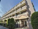 エクセリア文京池之端の間取り画像
