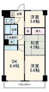 センチュリー吹上の間取り画像