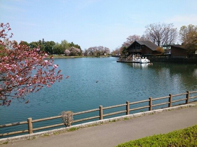 近くの三ツ寺公園まで300m(徒歩4分)