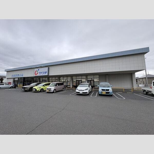 近くにカワチ薬品大利根店(1,000m)あり