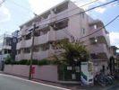 ペガサスマンション富士見ヶ丘の間取り画像