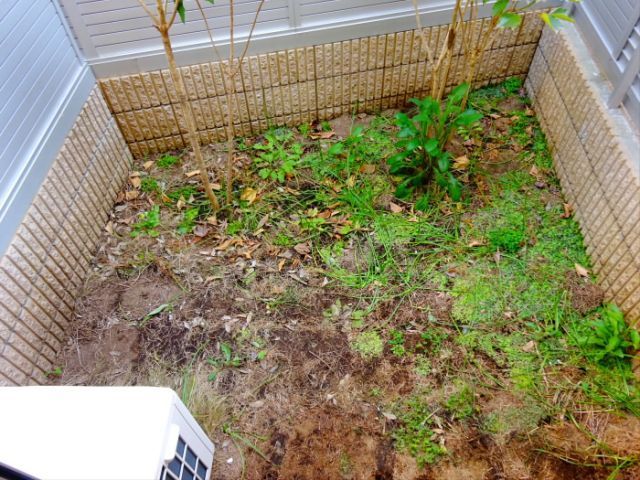 庭