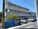 レオネクストライフワン長筬の外観