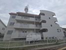 上田ハイツの外観