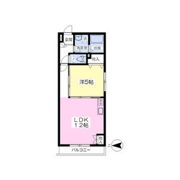 MAISON DE GEO（メゾン ド ジオ）の間取り画像