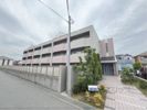 シュテレ70の外観
