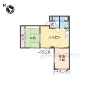 メゾンニュー大宮の間取り画像