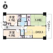 ライオンズマンション大和八木の間取り画像