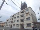 杉原ハイツの間取り画像