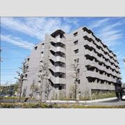 ルーブル川崎中丸子の外観画像