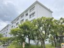 郡山駅前団地11号棟の間取り画像