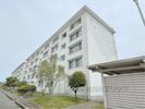 郡山駅前団地8号棟の間取り画像