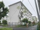 郡山駅前団地2号棟の間取り画像