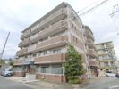 アドニー新田辺の間取り画像