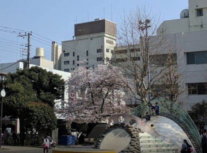 近くの世田谷丸山公園まで179m(徒歩3分)