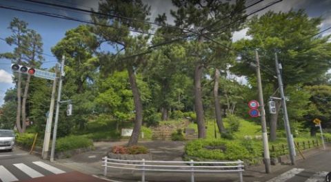 近くの世田谷城阯公園まで787m(徒歩10分)
