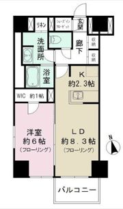 カメリアコート新宿の間取り画像