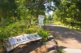 近くの柏の宮公園まで1,266m（徒歩16分）