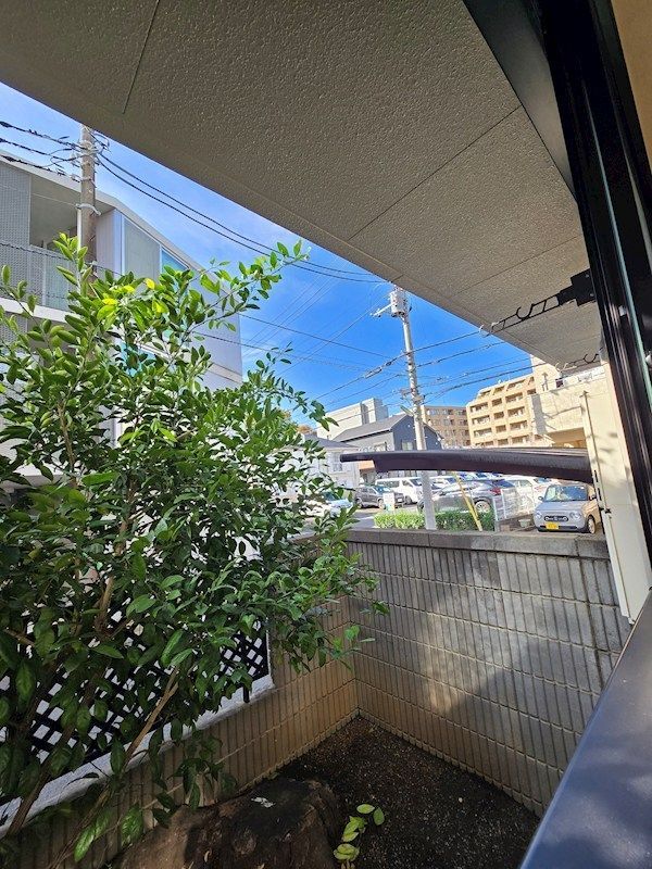 眺望