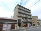 樹庭夢 幹の外観