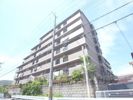 セントフローレンスパレス桂の外観