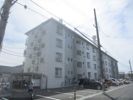 ハイツカームネスの外観